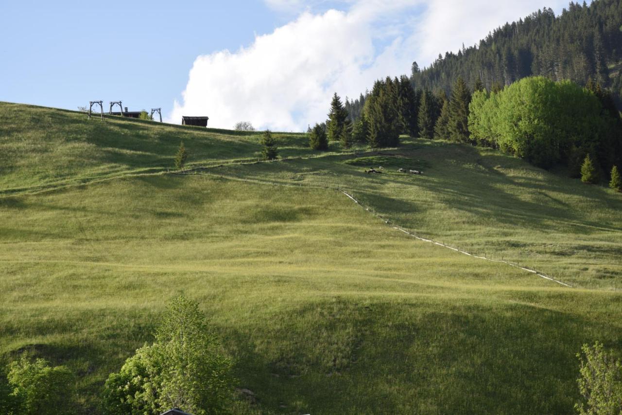 Foersterhaus Leilighet Holzgau Eksteriør bilde